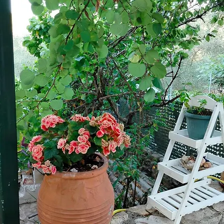 Casa Nonna Traditional